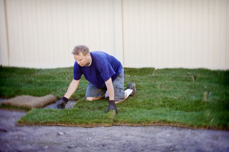 Local Sod Installation pros at work