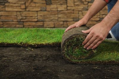 Sod Installation Cost Guide — Cost of Sod Installation