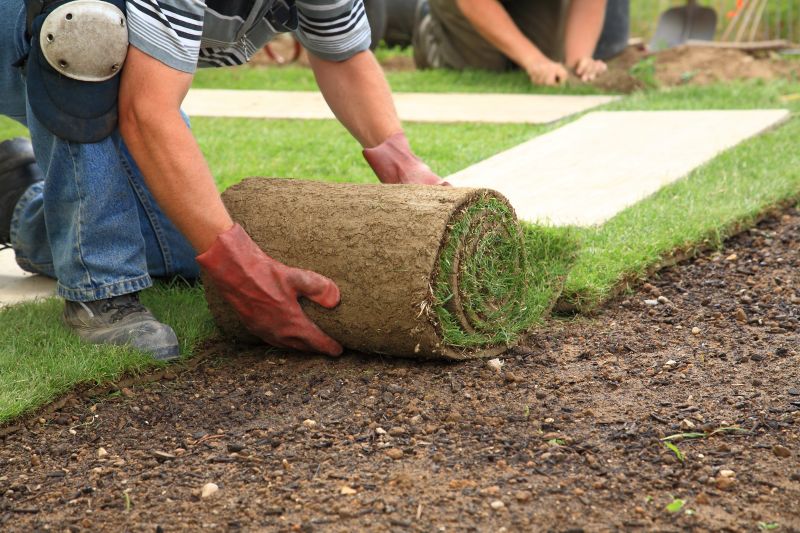Sod Installation Cost Guide — Cost of Sod Installation