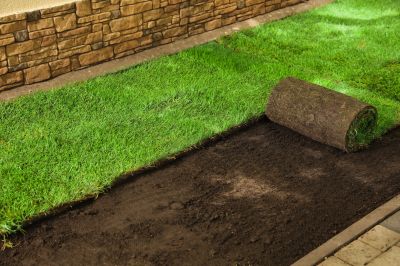 Sod Installation Cost Guide — Cost of Sod Installation