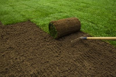 Sod Installation Cost Guide — Cost of Sod Installation